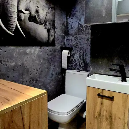 Apartment Na Rycerskiej Chorzow